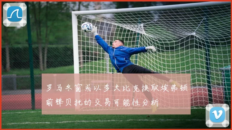 罗马冬窗或以多夫比克换取埃弗顿前锋贝托的交易可能性分析