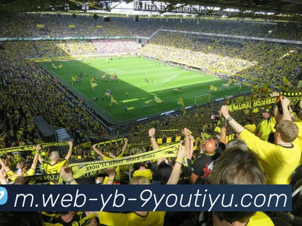 九游娱乐APP 体育赛事宣传图